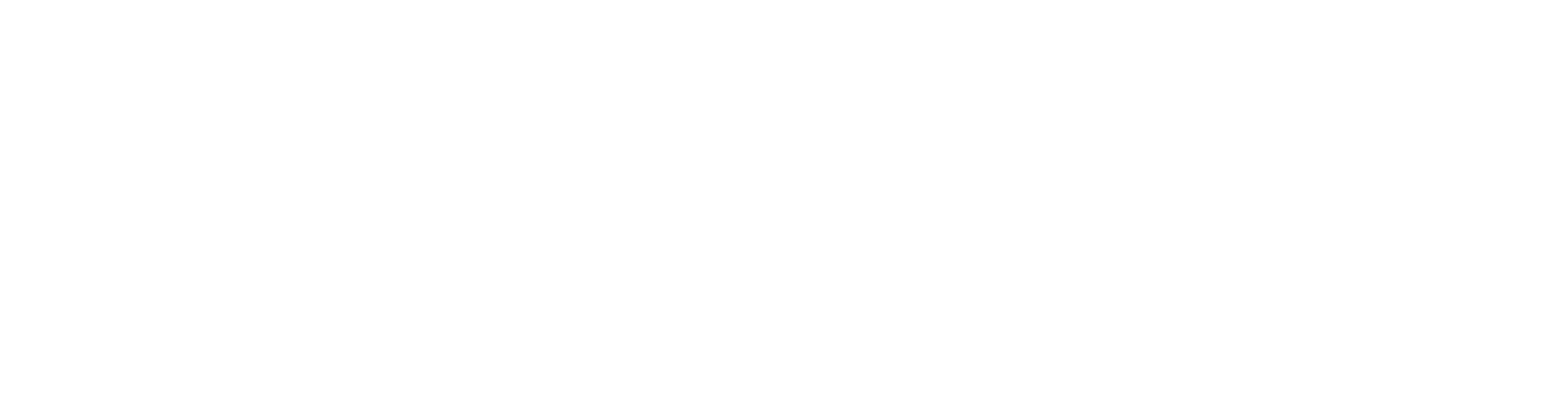 R+F FilterElements logo